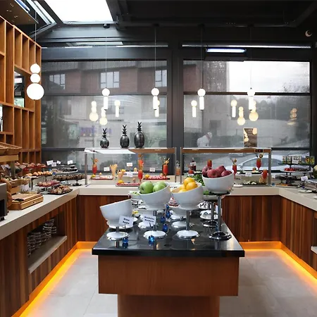 ホテル Park By Radisson Airport Odayeri