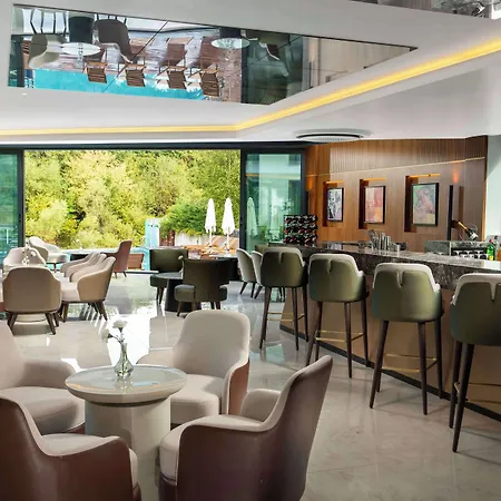 Park By Radisson Airport Odayeri Hotel 4*