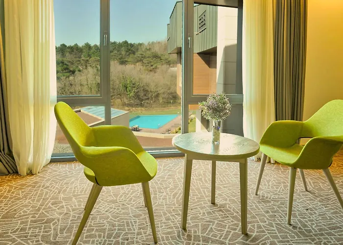 Hotel Park By Radisson Airport Odayeri