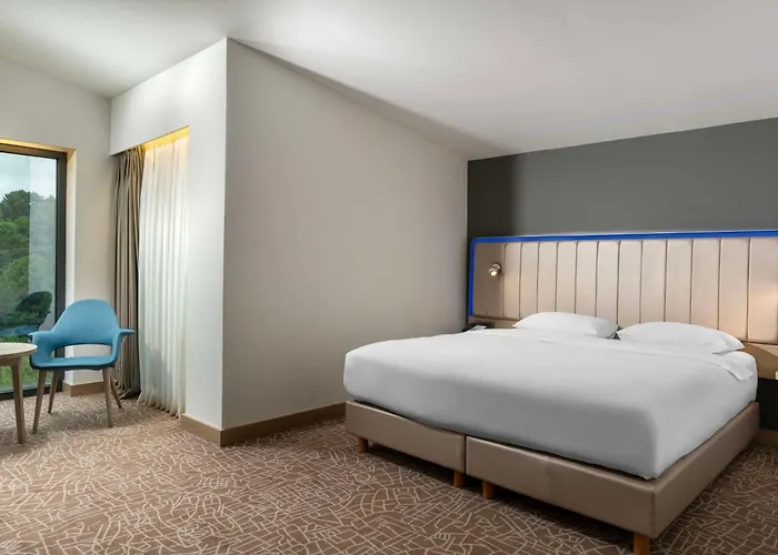 Hotel Park By Radisson Airport Odayeri Istambul