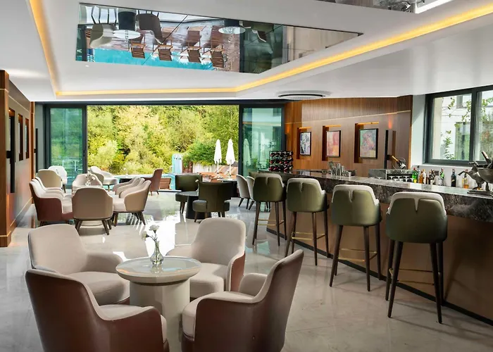 Hotel Park By Radisson Airport Odayeri 4*