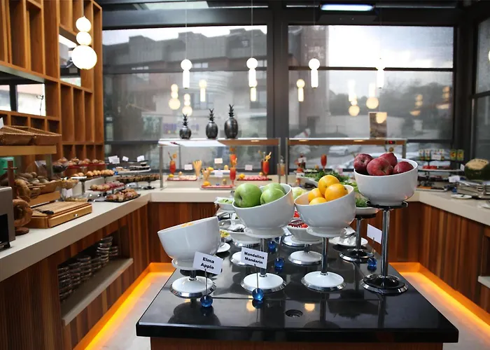 Hotel Park By Radisson Airport Odayeri