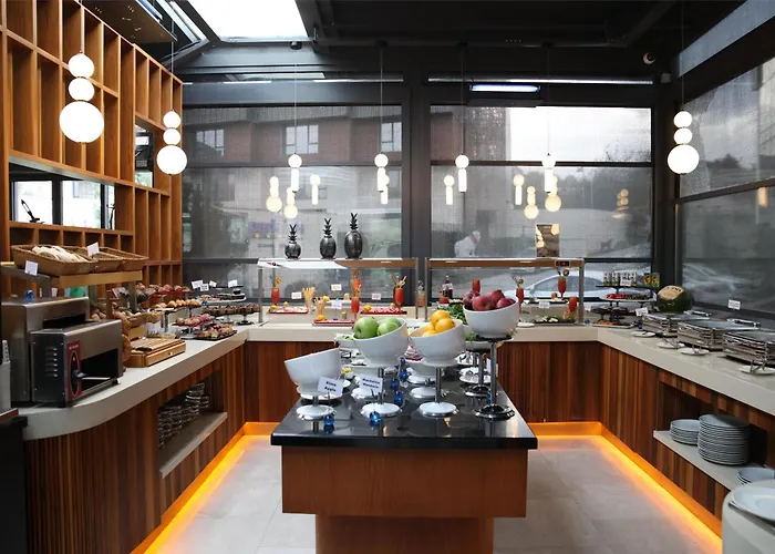 Hotel Park By Radisson Airport Odayeri