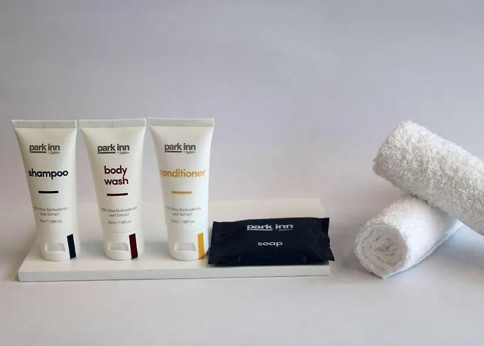 Park By Radisson Airport Odayeri 4*