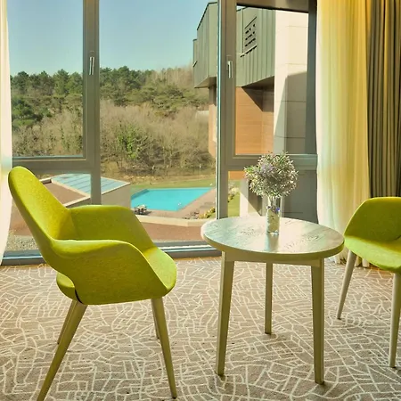 Отель Park By Radisson Airport Odayeri